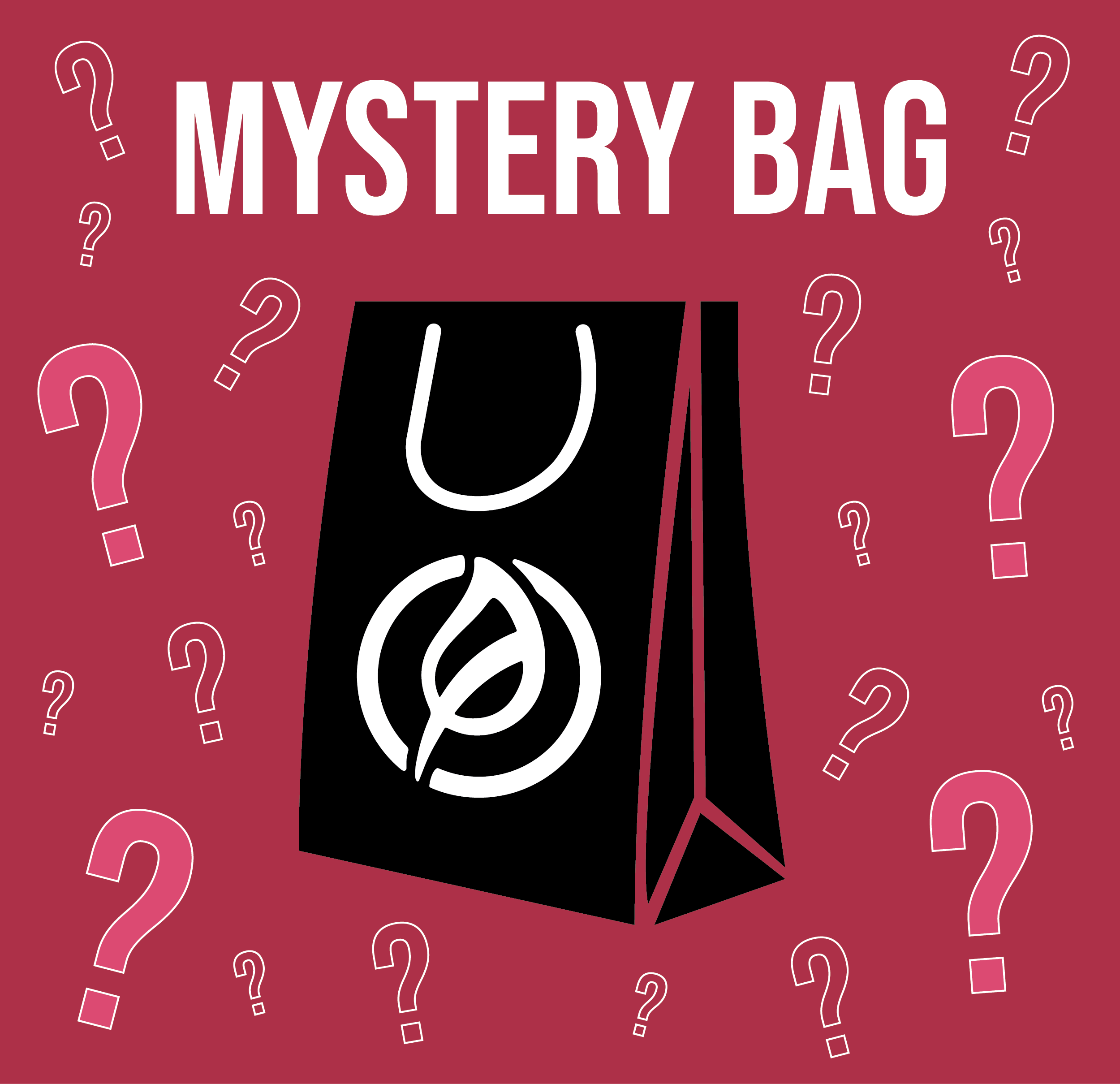 Mystery Bag Sample - Legging/Pant